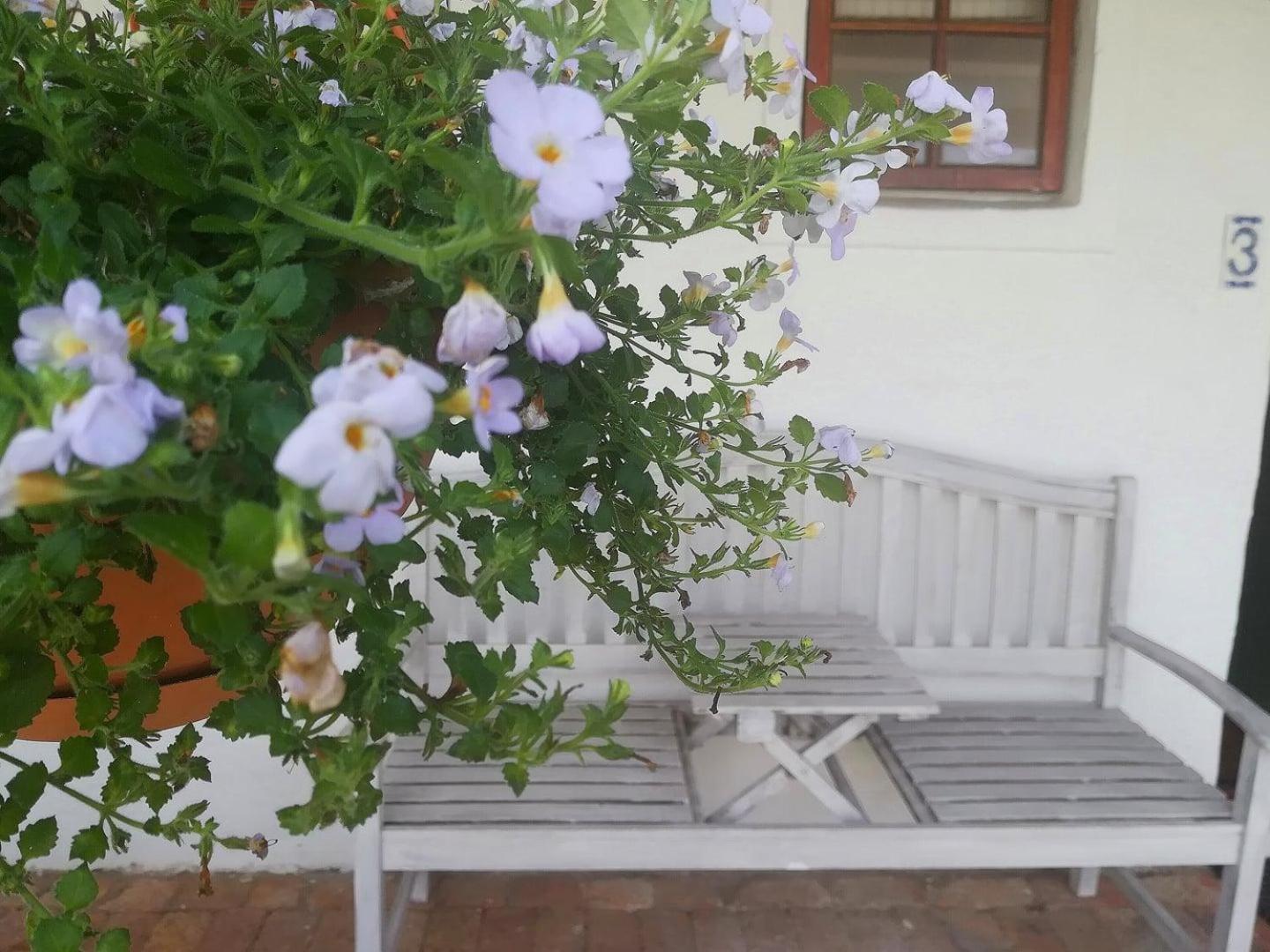Kaijaiki Country Inn And Restaurant Yzerfontein Rum bild